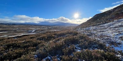 Cairngorm_Nationalpark.jpg