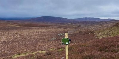 Cairngorms_Nationalpark.jpg